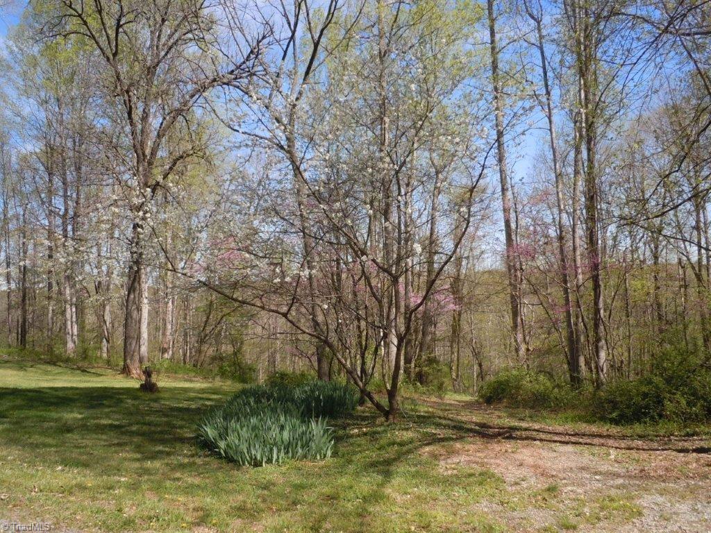 9795 Ellis Road Clemmons, NC 27012 - Photo 21 of 29