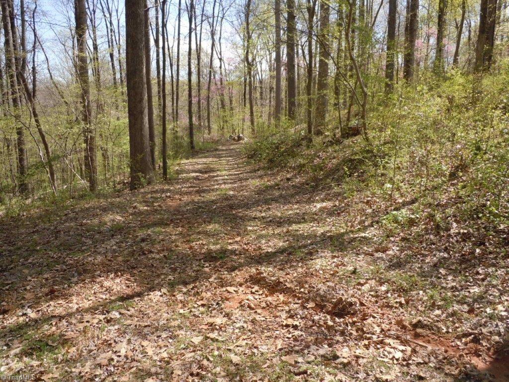 9795 Ellis Road Clemmons, NC 27012 - Photo 22 of 29