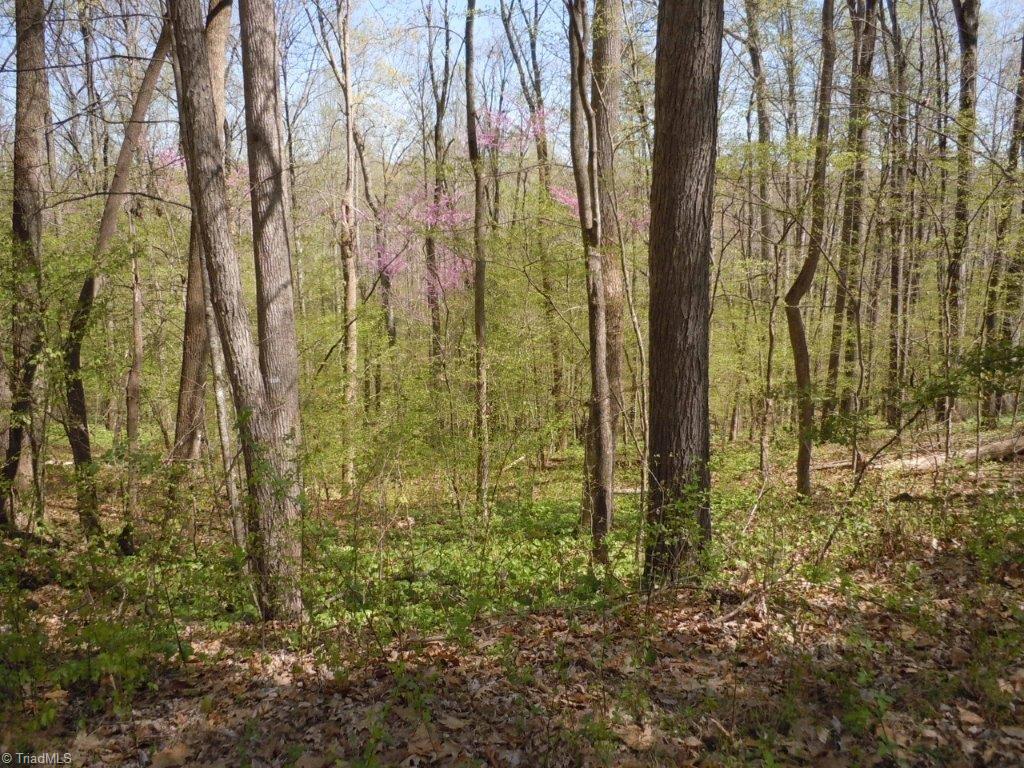 9795 Ellis Road Clemmons, NC 27012 - Photo 23 of 29