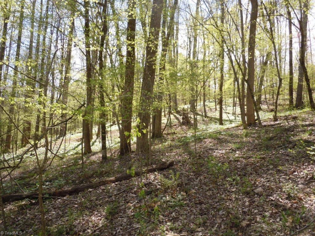 9795 Ellis Road Clemmons, NC 27012 - Photo 27 of 29