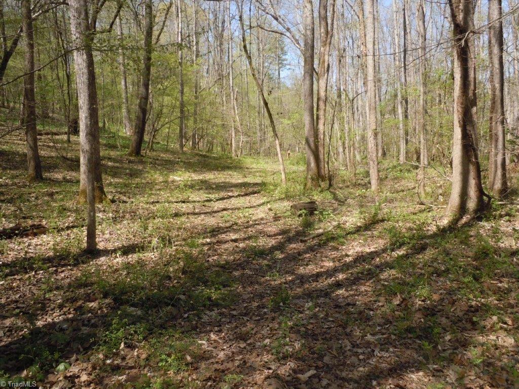 9795 Ellis Road Clemmons, NC 27012 - Photo 28 of 29