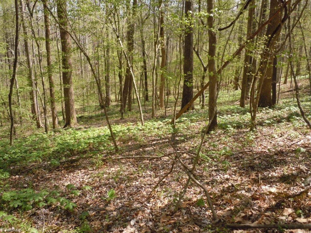 9795 Ellis Road Clemmons, NC 27012 - Photo 29 of 29
