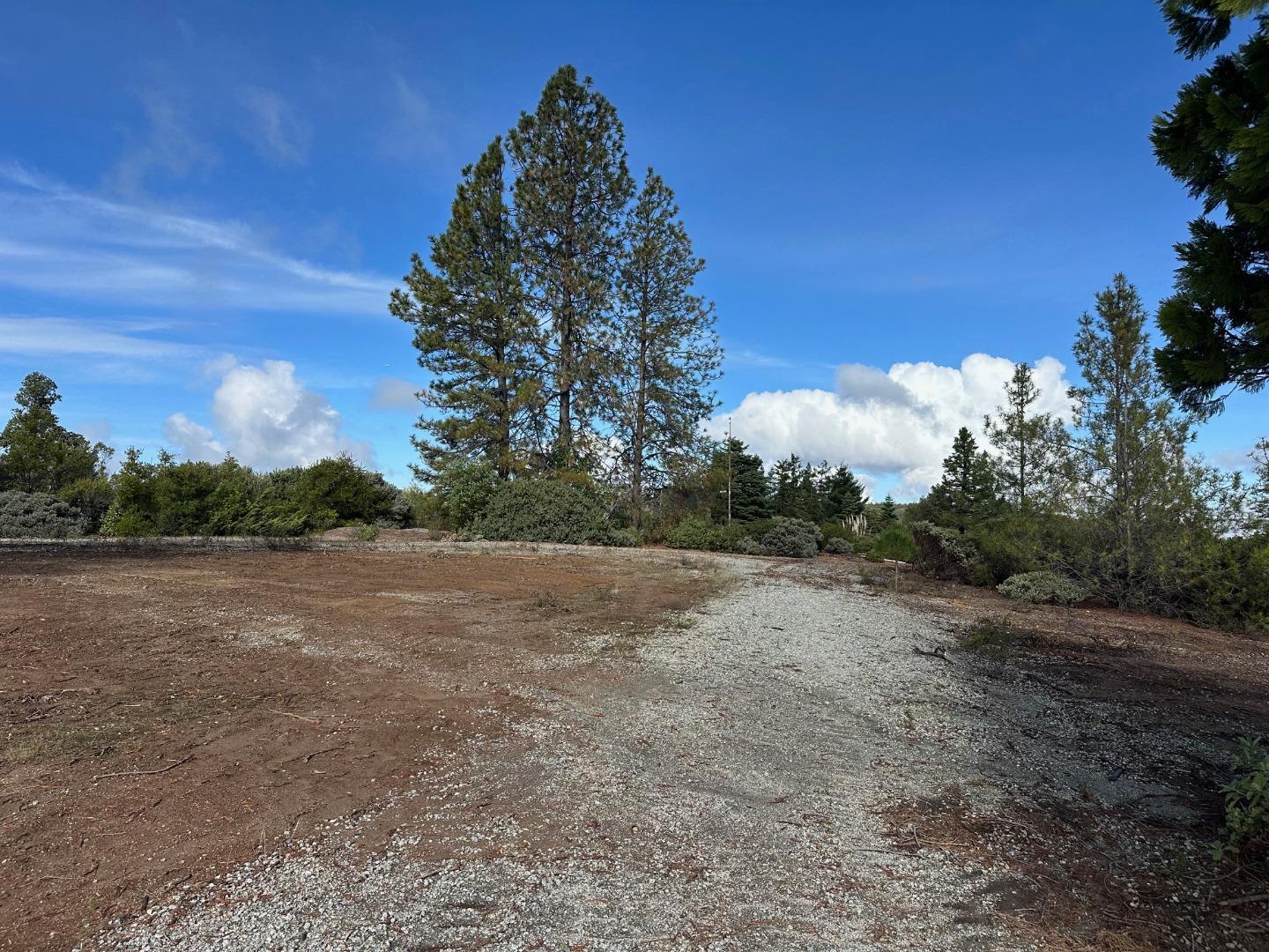 301 Red Dog Ridge Watsonville, CA 95076 - Photo 40 of 47 Gallery Image 40