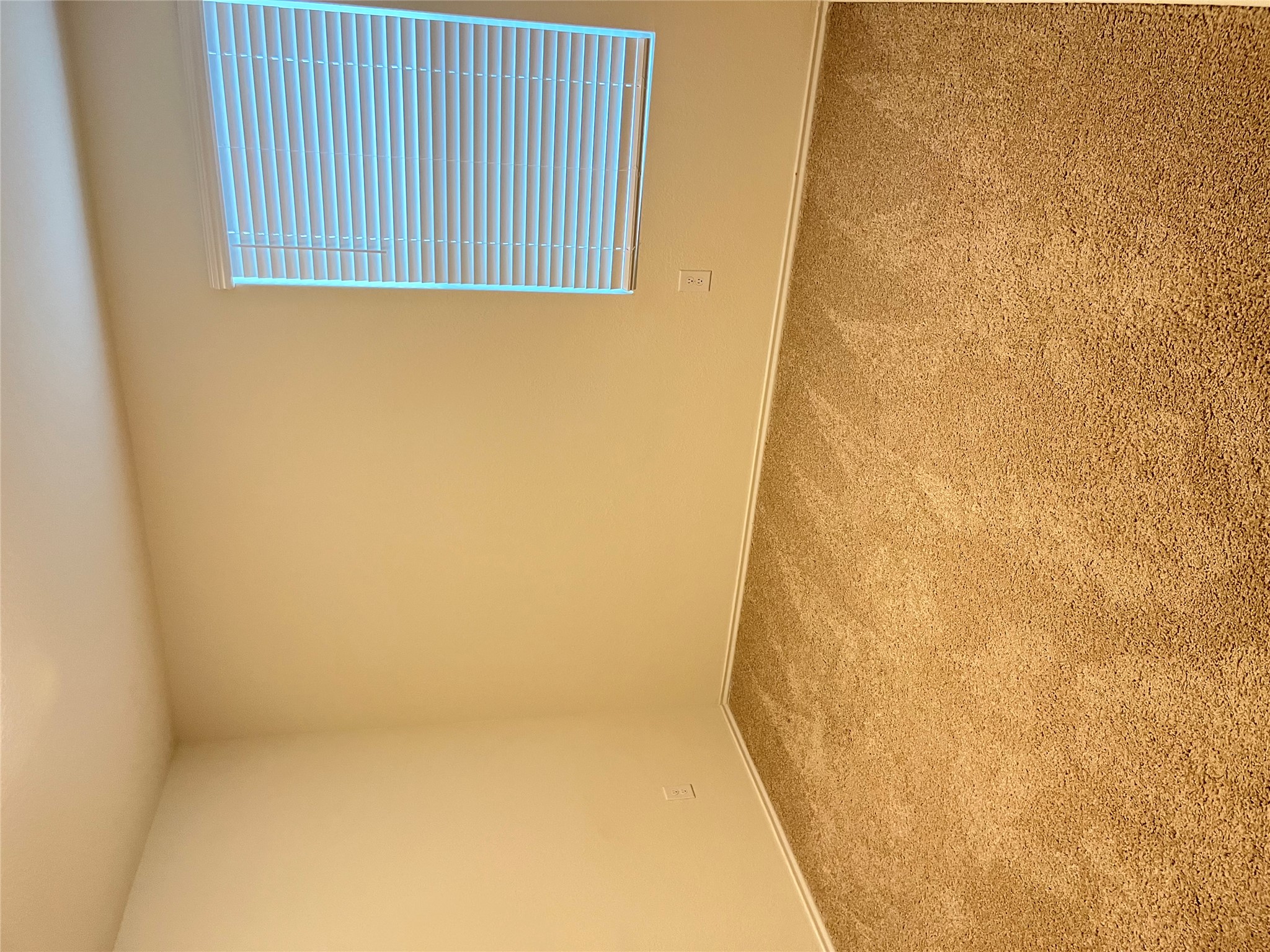 12313 Token Trail Elgin, TX 78621 - Photo 14 of 15 Carpeted room featuring a single window with horizontal blinds, light-colored walls, and white baseboards