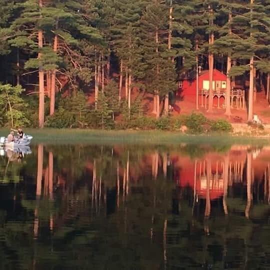 2 Eagles Perch Road Northfield, ME 04654 - Photo 3 of 12 IMG_7482