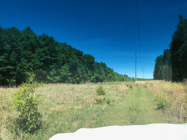 14000 County Road 54 Silverhill, AL 36576 - Photo 1 of 14