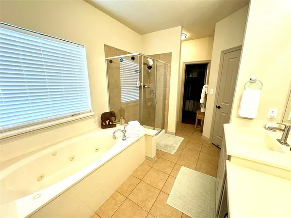 a bathroom with a tub sink and a mirror