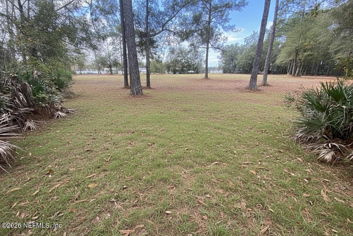 351-335 Otis Road Jacksonville, FL 32220 - Photo 6 of 16 a big yard with lots of green space and trees