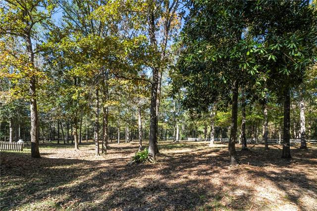 37356 Hammond Sylvest Road Franklinton, LA 70438 - Photo 25 of 27