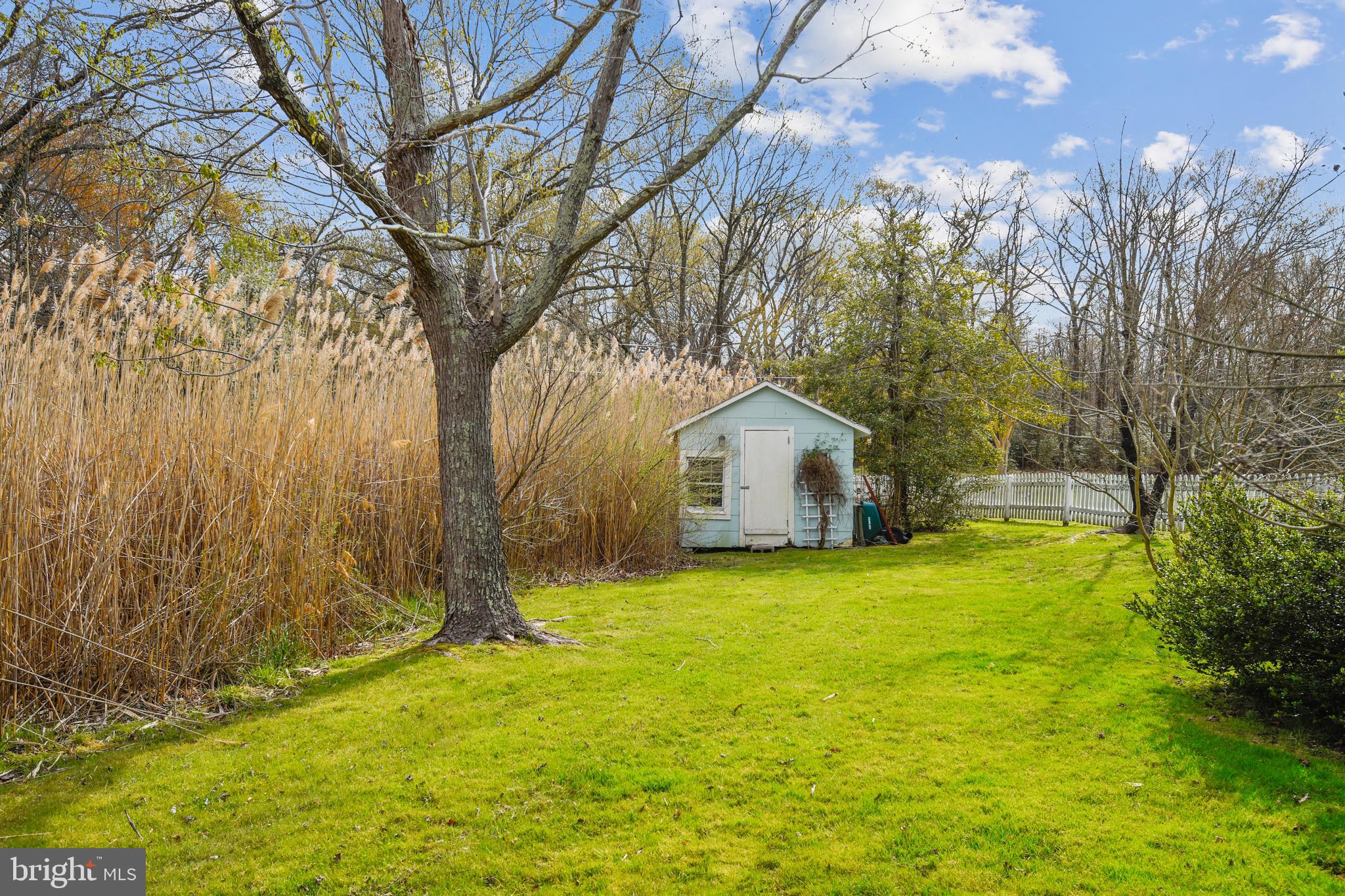 1218 West River Road Shady Side, MD 20764 - Photo 37 of 50 Shed