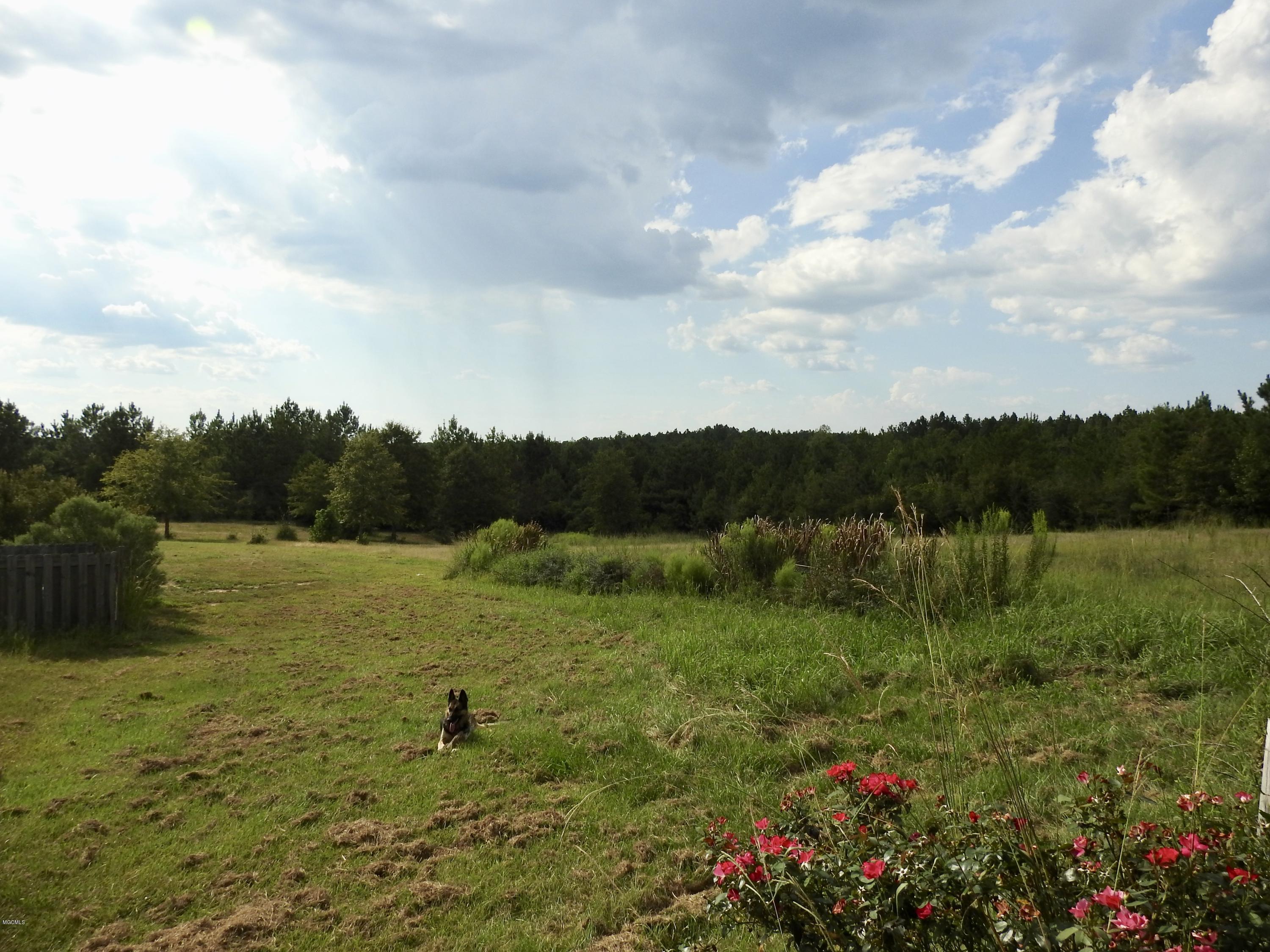 3260 Central Firetower Road Lucedale, MS 39452 - Photo 32 of 43 29