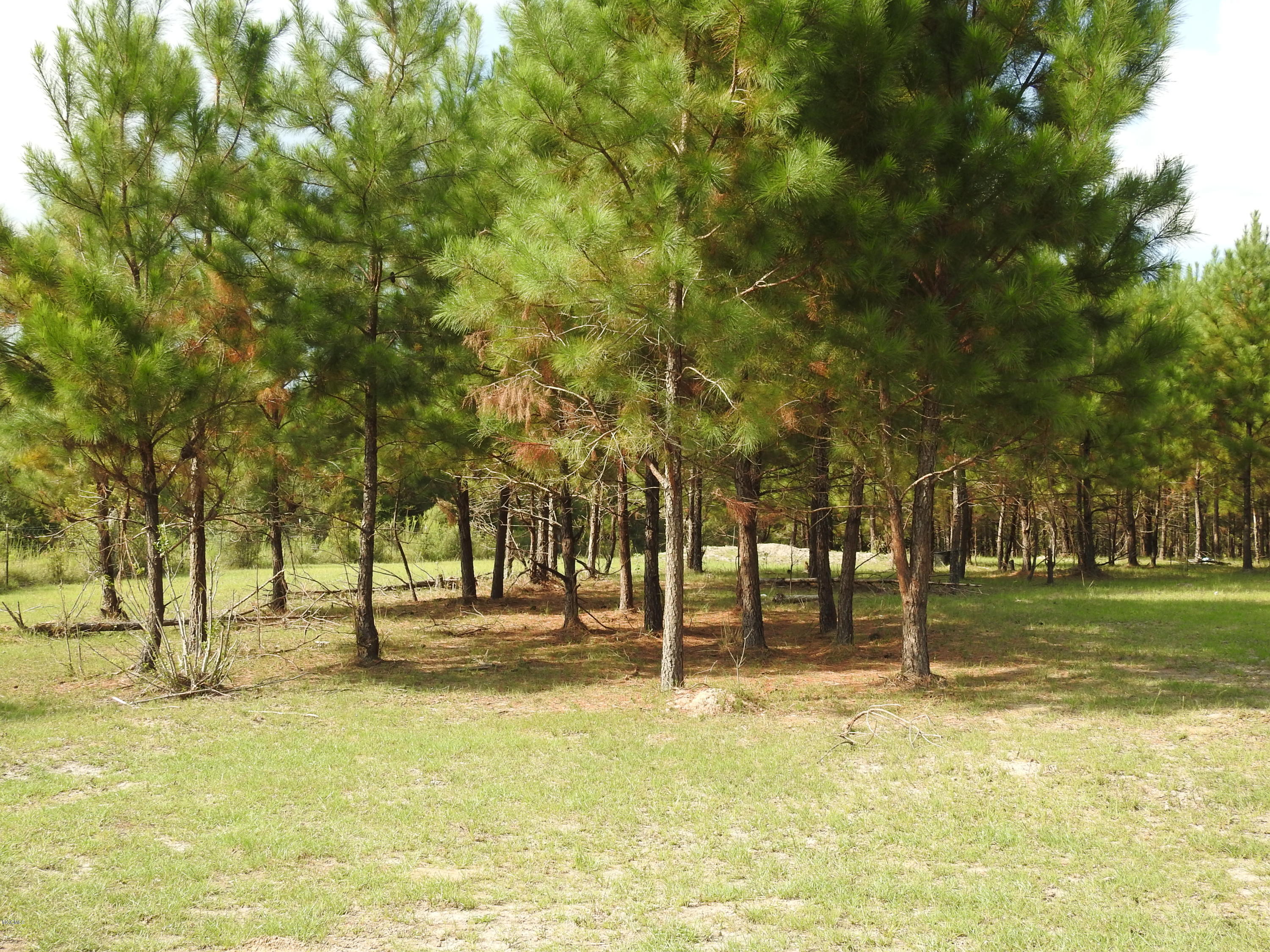 3260 Central Firetower Road Lucedale, MS 39452 - Photo 34 of 43