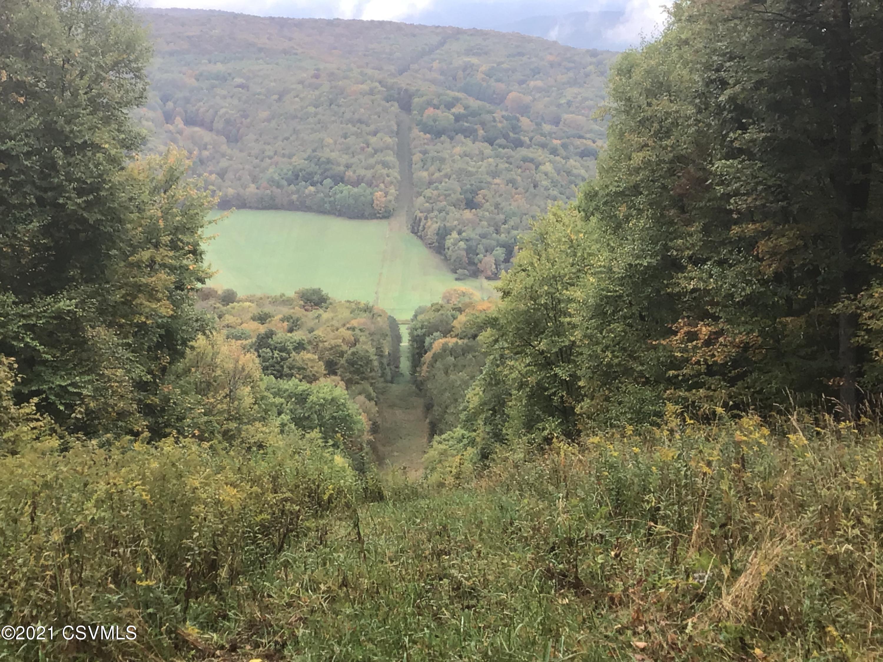 0 Canada Hollow Road Shinglehouse, PA 16748 - Photo 18 of 22 Gallery Image 18
