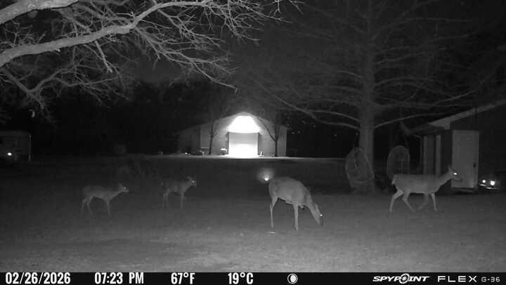 1155 Point Vista Road Hickory Creek, TX 75065 - Photo 13 of 37