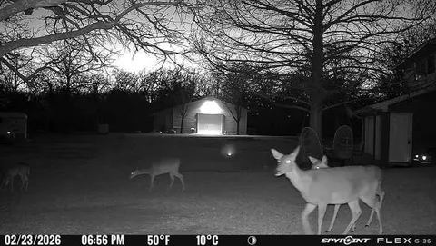 a view of outdoor space with trees