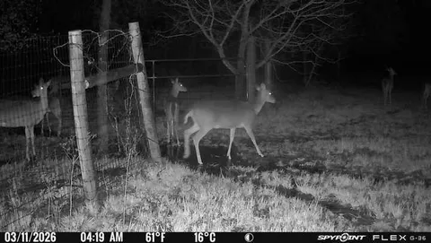 $3,000,000 | 1155 Point Vista Road, Hickory Creek, TX 75065