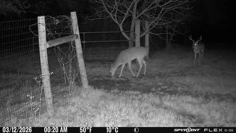 $3,000,000 | 1155 Point Vista Road, Hickory Creek, TX 75065