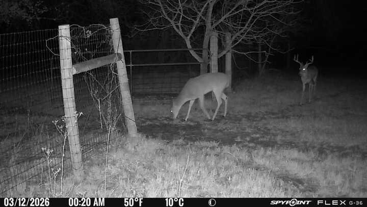 1155 Point Vista Road Hickory Creek, TX 75065 - Photo 36 of 37 Exterior view