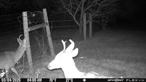 $3,000,000 | 1155 Point Vista Road, Hickory Creek, TX 75065