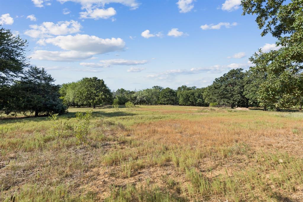 1155 Point Vista Road Hickory Creek, TX 75065 - Photo 5 of 21 a view of yard with swimming pool and green space