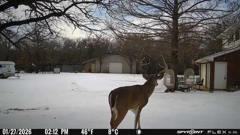 a view of outdoor space yard and patio