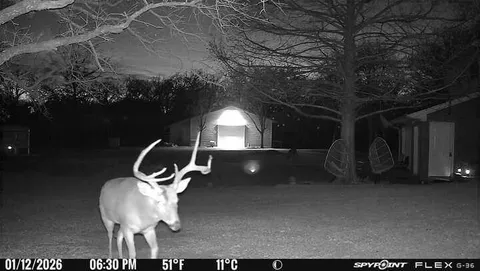 a view of yard with table and chairs