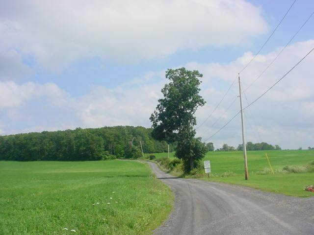 126 Beard Road Delanson, NY 12053 - Photo 4 of 4 Photo 4