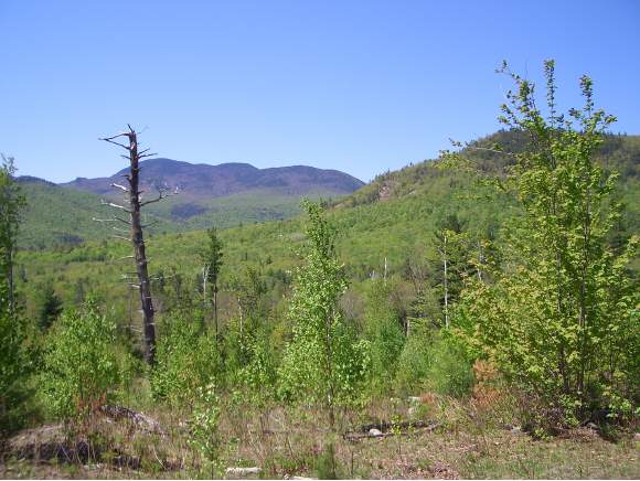 44 Parker Ridge Road Bartlett, NH 03838 - Photo 1 of 1