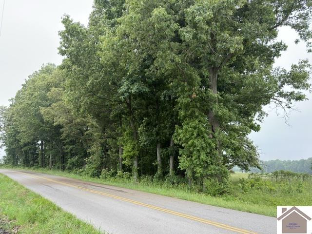 0 Taylors Store Road Hazel, KY 42049 - Photo 1 of 5 Photo 1