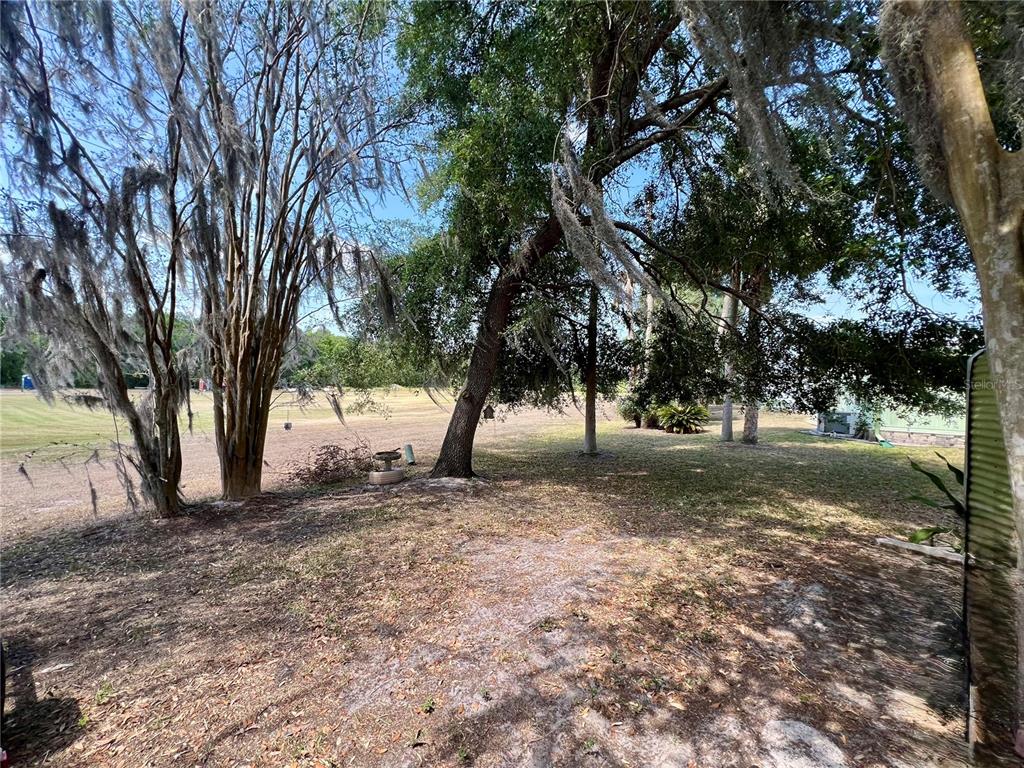 27 Robin Road Wildwood, FL 34785 - Photo 9 of 16 a view of a tree in the middle of a yard