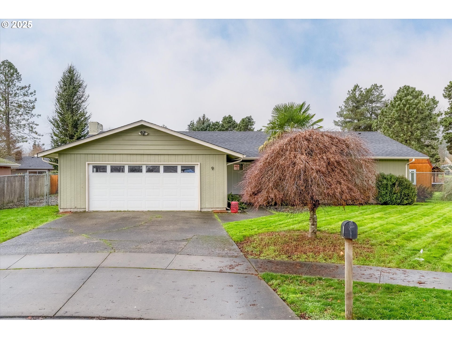 9 Lee Place Longview, WA 98632 - Photo 46 of 46 a view of a house with a yard and a large tree