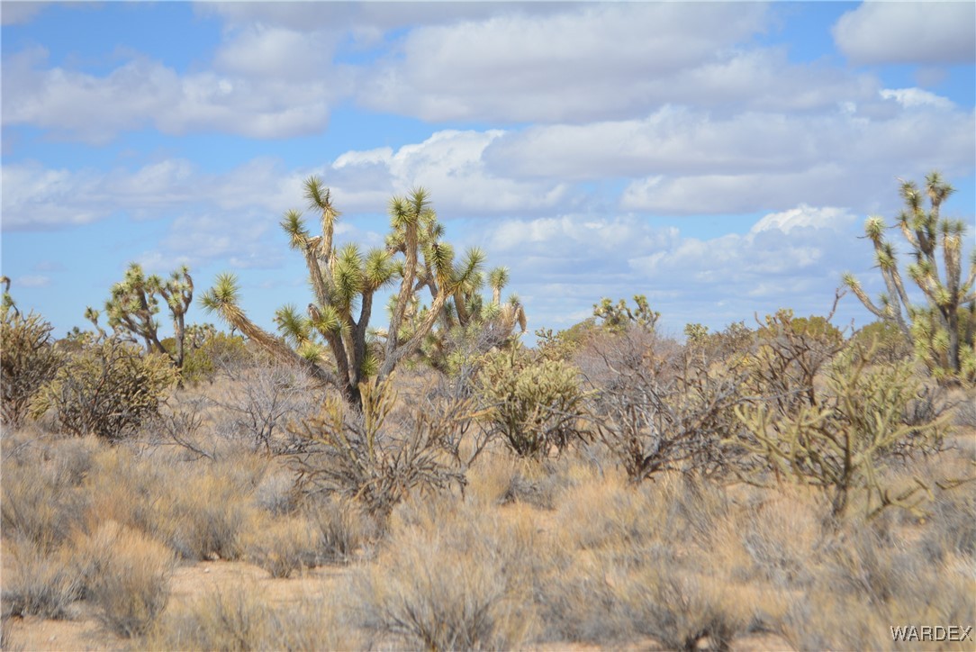 Lot 2664 South Rawhide Road Yucca, AZ 86438 - Photo 27 of 84 Other