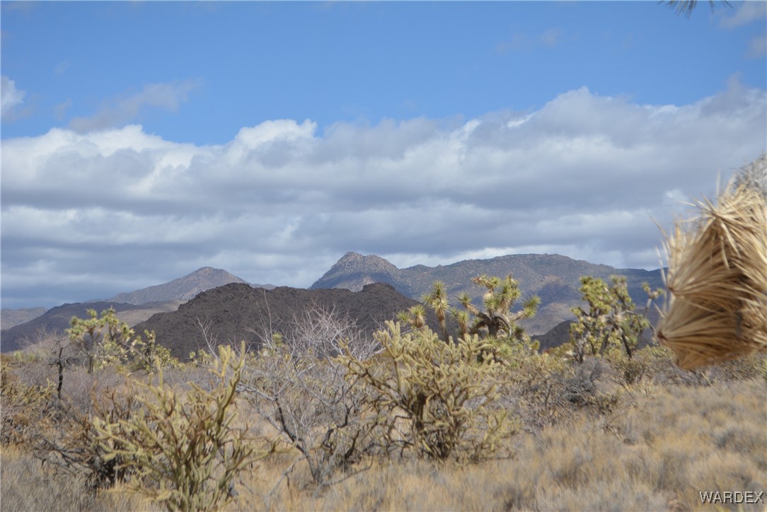 Lot 2664 South Rawhide Road Yucca, AZ 86438 - Photo 31 of 84 View