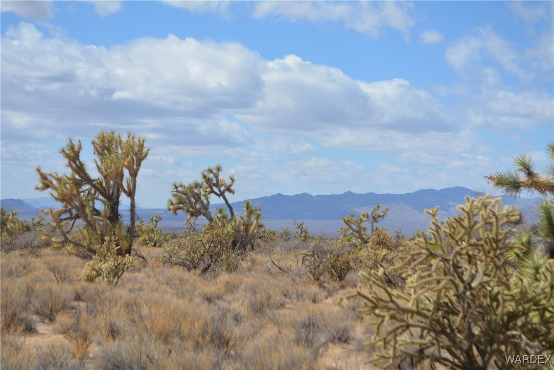 Lot 2664 South Rawhide Road Yucca, AZ 86438 - Photo 42 of 84 View