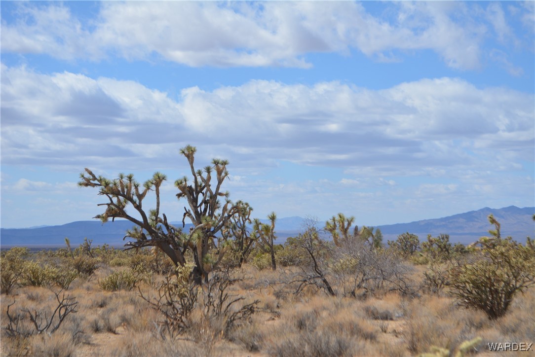 Lot 2664 South Rawhide Road Yucca, AZ 86438 - Photo 5 of 84 View