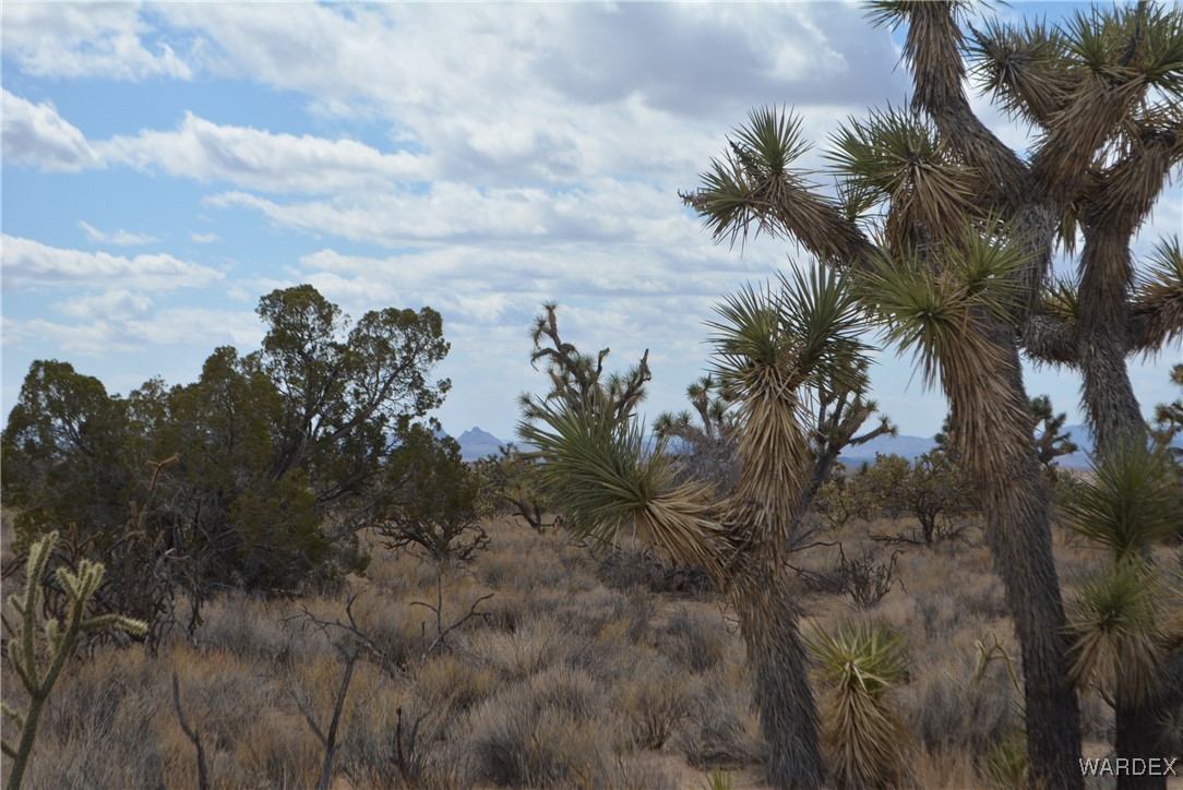 Lot 2664 South Rawhide Road Yucca, AZ 86438 - Photo 54 of 84 Other