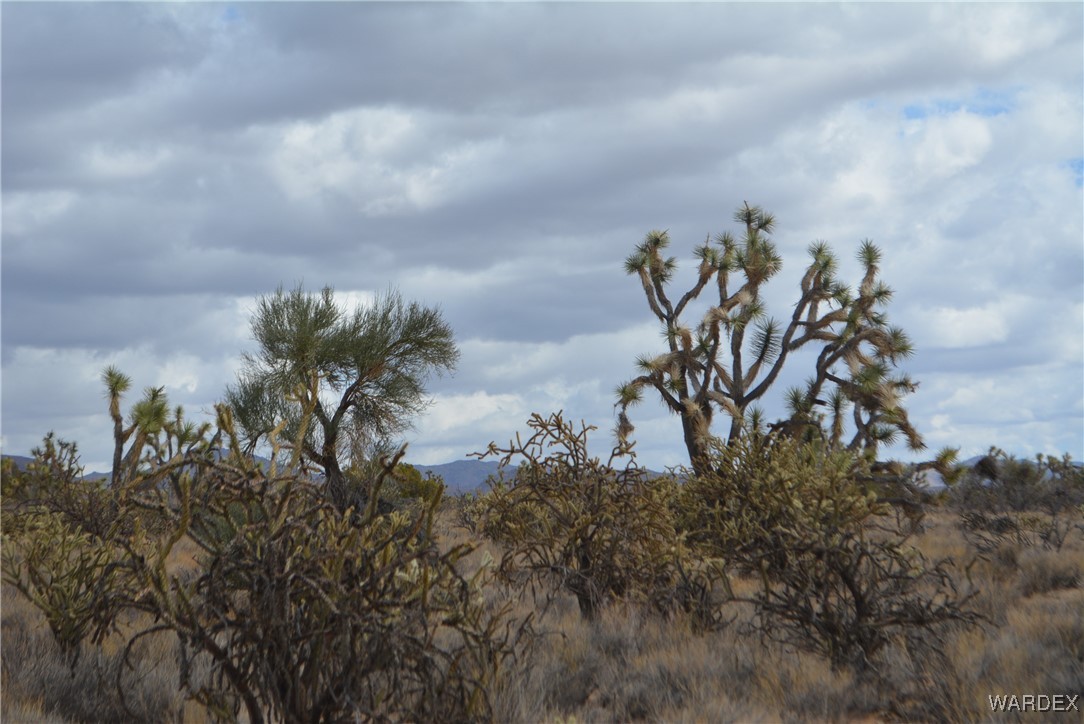 Lot 2664 South Rawhide Road Yucca, AZ 86438 - Photo 60 of 84 Other