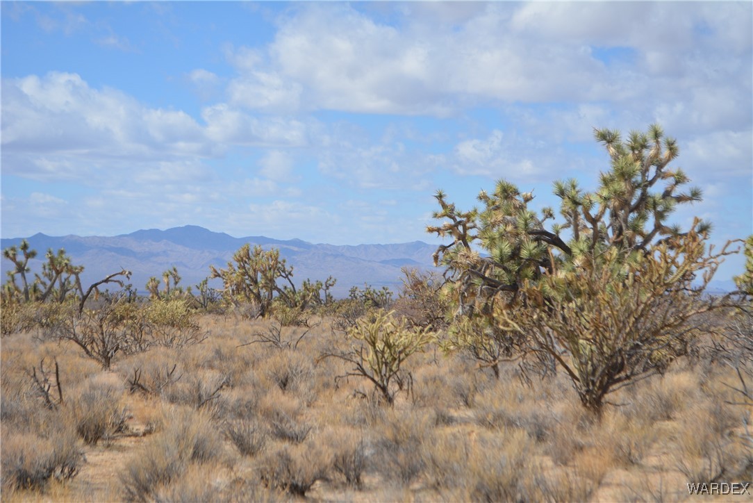 Lot 2664 South Rawhide Road Yucca, AZ 86438 - Photo 7 of 84 View