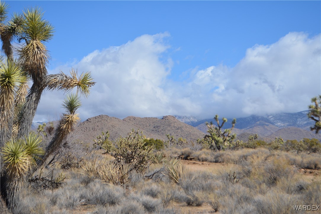 Lot 2664 South Rawhide Road Yucca, AZ 86438 - Photo 80 of 84 View