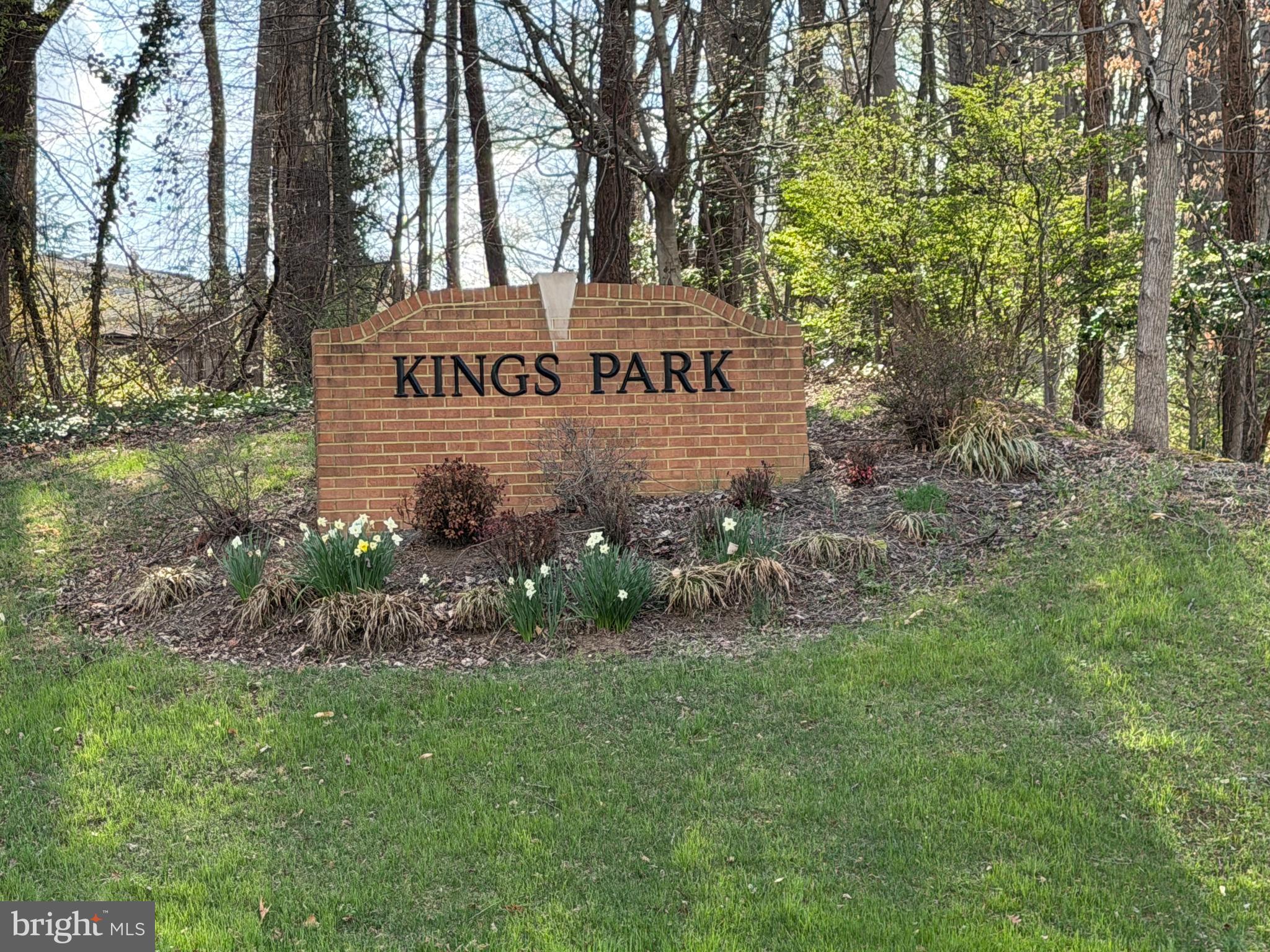 8467 Thames Street Springfield, VA 22151 - Photo 8 of 9