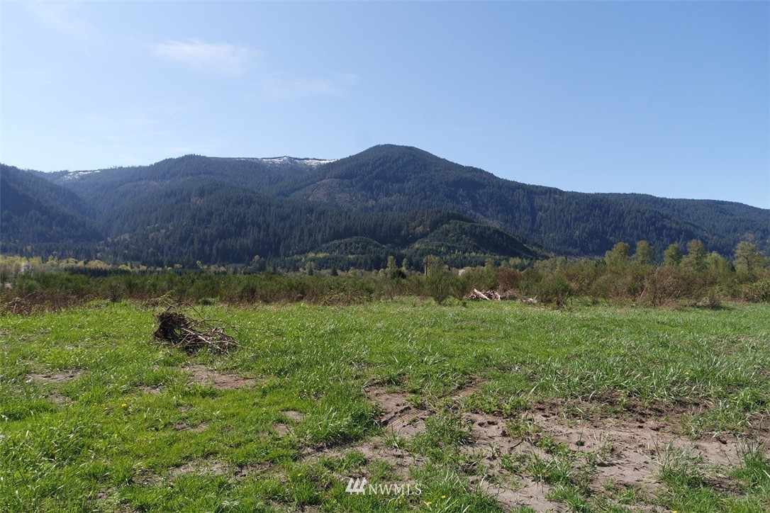 256-14 River Ranch Road Randle, WA 98377 - Photo 16 of 25 Gallery Image 16