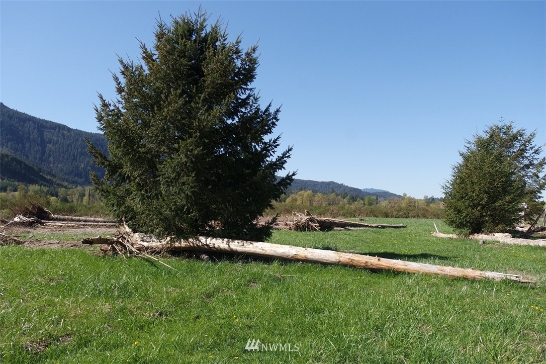 256-14 River Ranch Road Randle, WA 98377 - Photo 21 of 25 Gallery Image 21