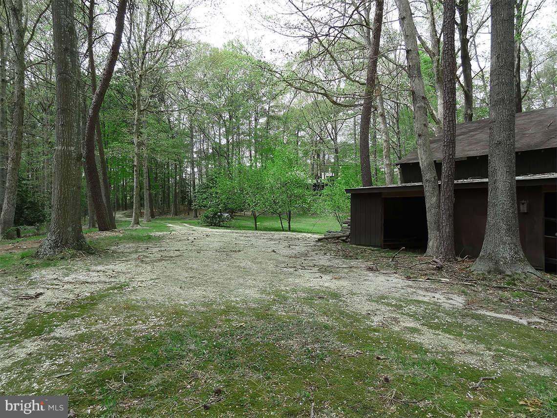 1200 Parran Road St. Leonard, MD 20685 - Photo 12 of 29 a backyard of a house with lots of green space