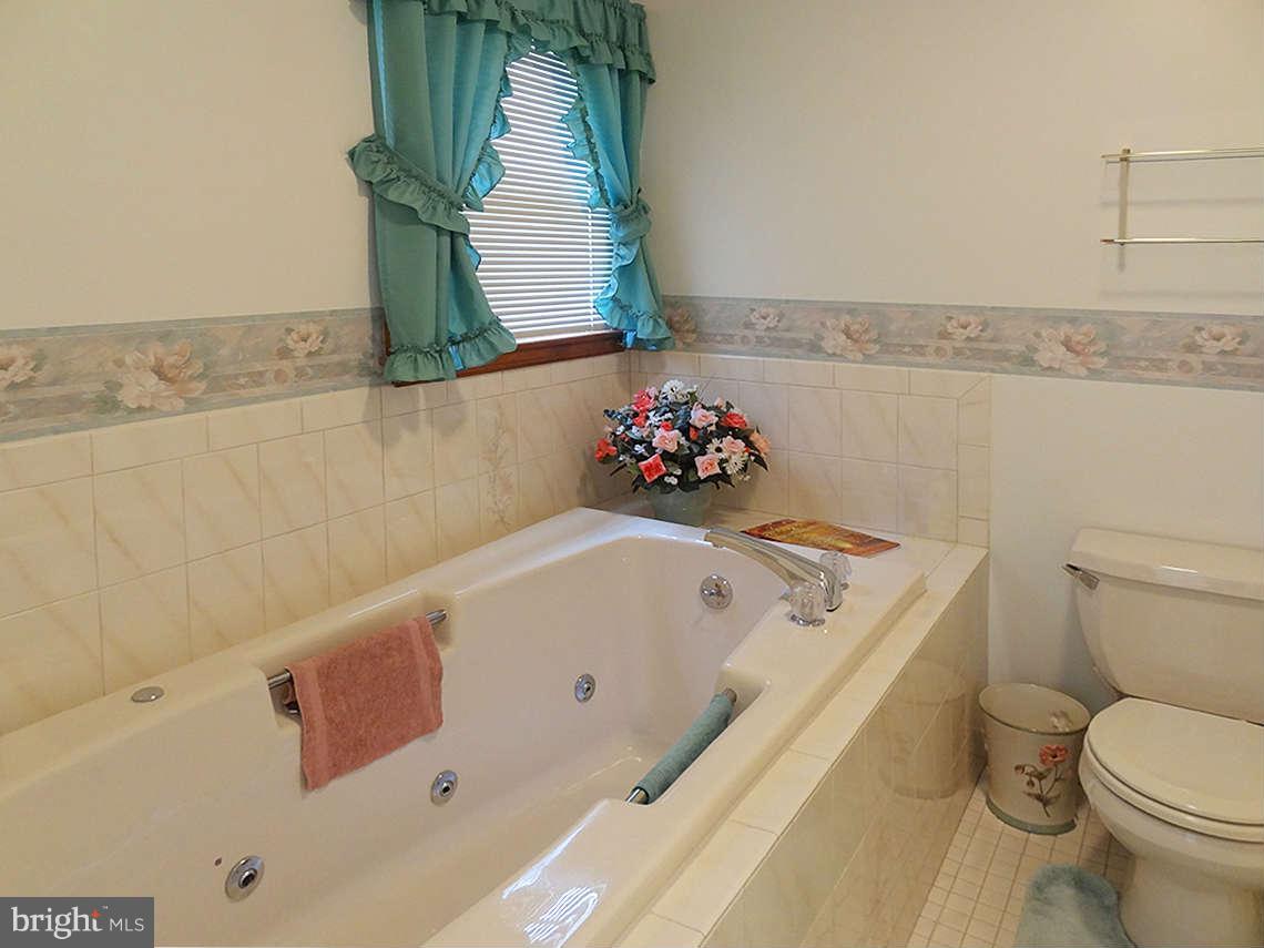 1200 Parran Road St. Leonard, MD 20685 - Photo 19 of 29 a bathroom with a sink and a toilet