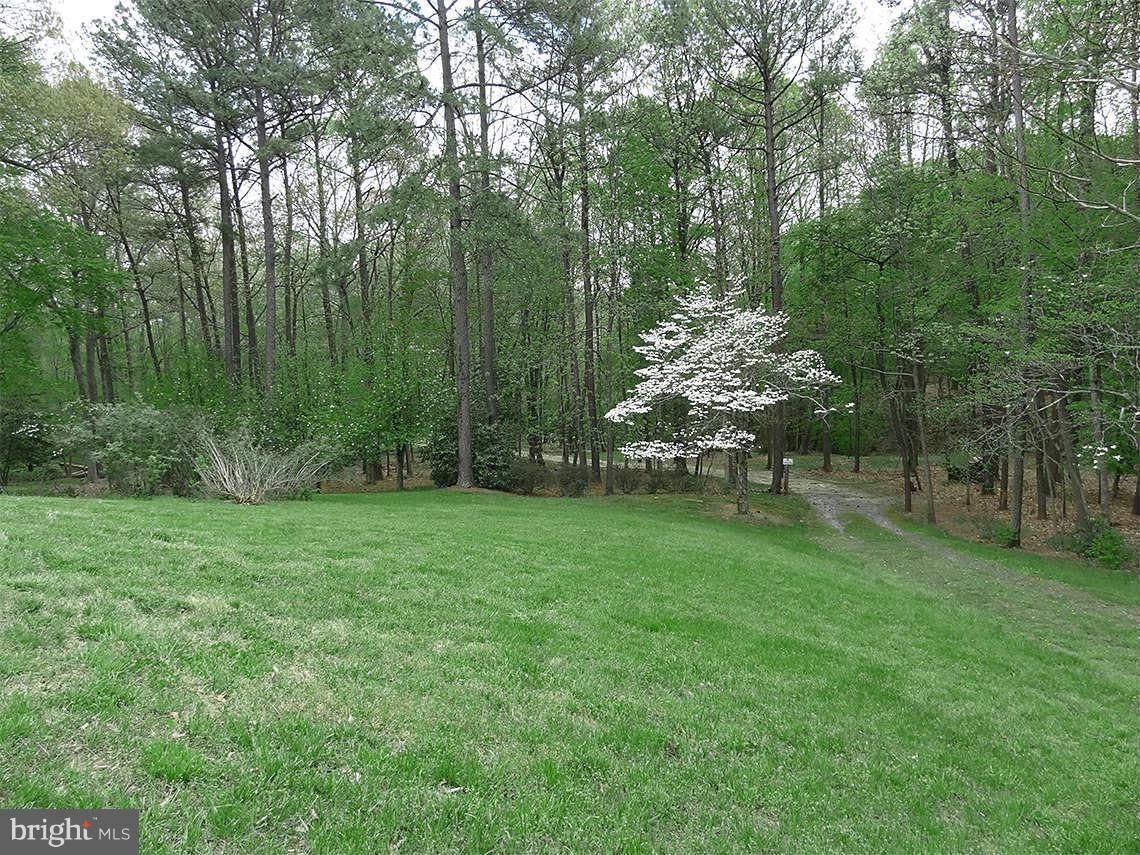 1200 Parran Road St. Leonard, MD 20685 - Photo 5 of 29 a view of a garden