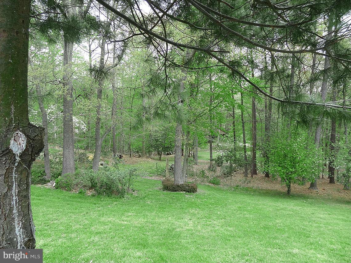 1200 Parran Road St. Leonard, MD 20685 - Photo 8 of 29 a view of a green field with a tree