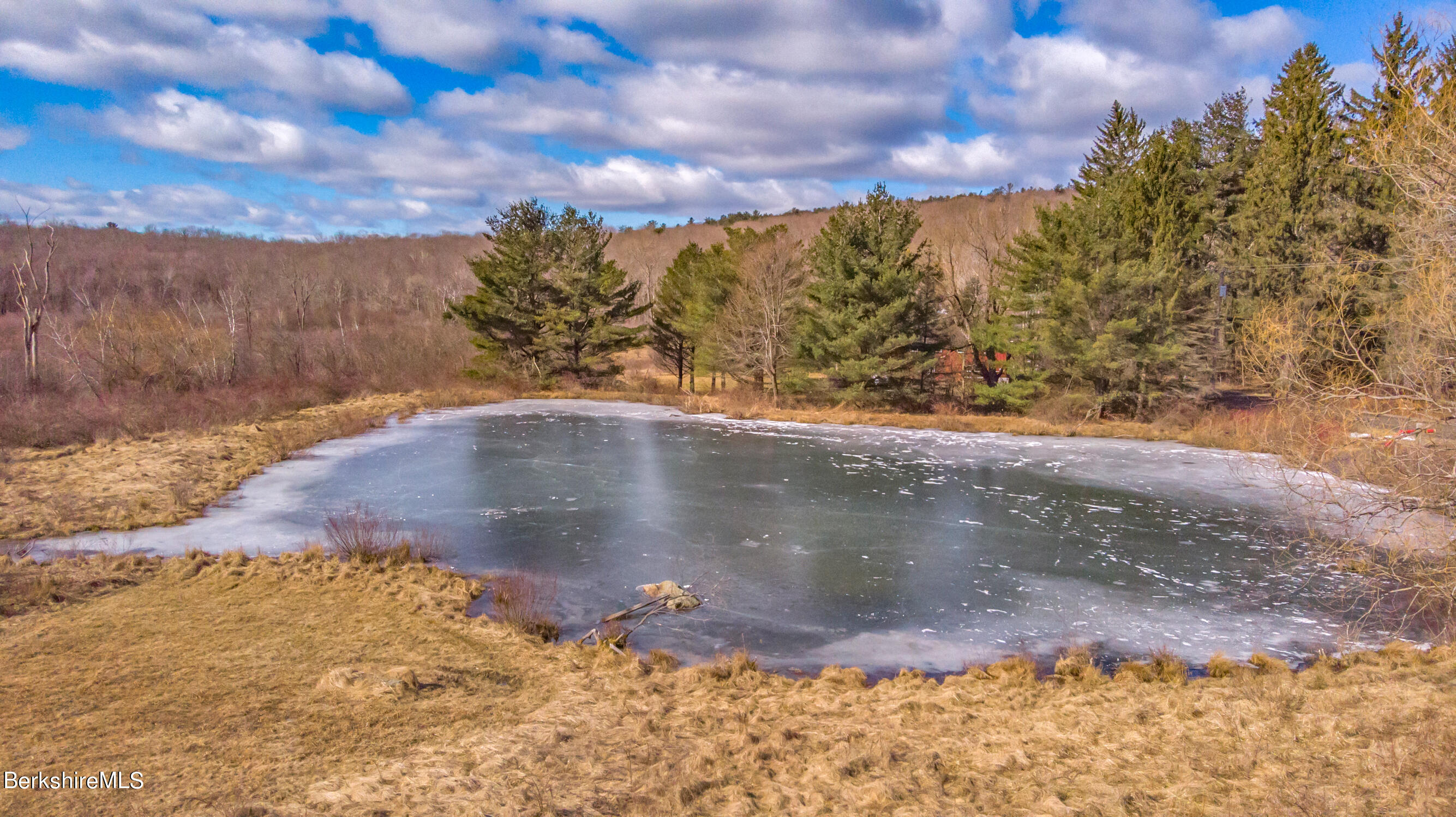 46 Middle Road Austerlitz, NY 12017 - Photo 35 of 39 Pond