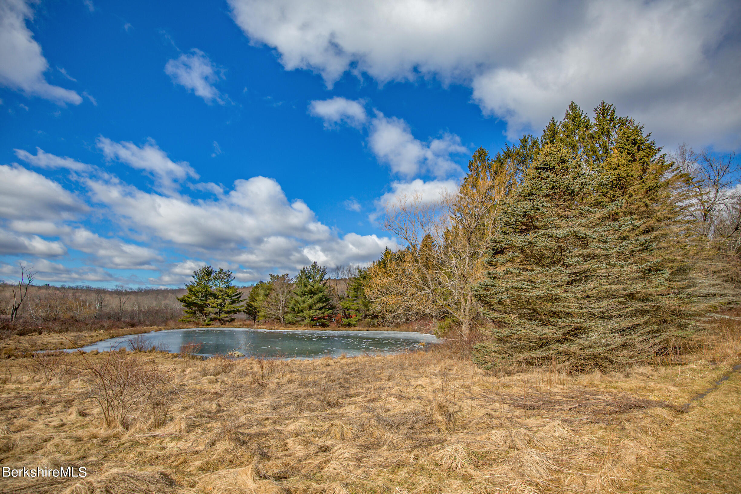 46 Middle Road Austerlitz, NY 12017 - Photo 7 of 39 Spring fed pond