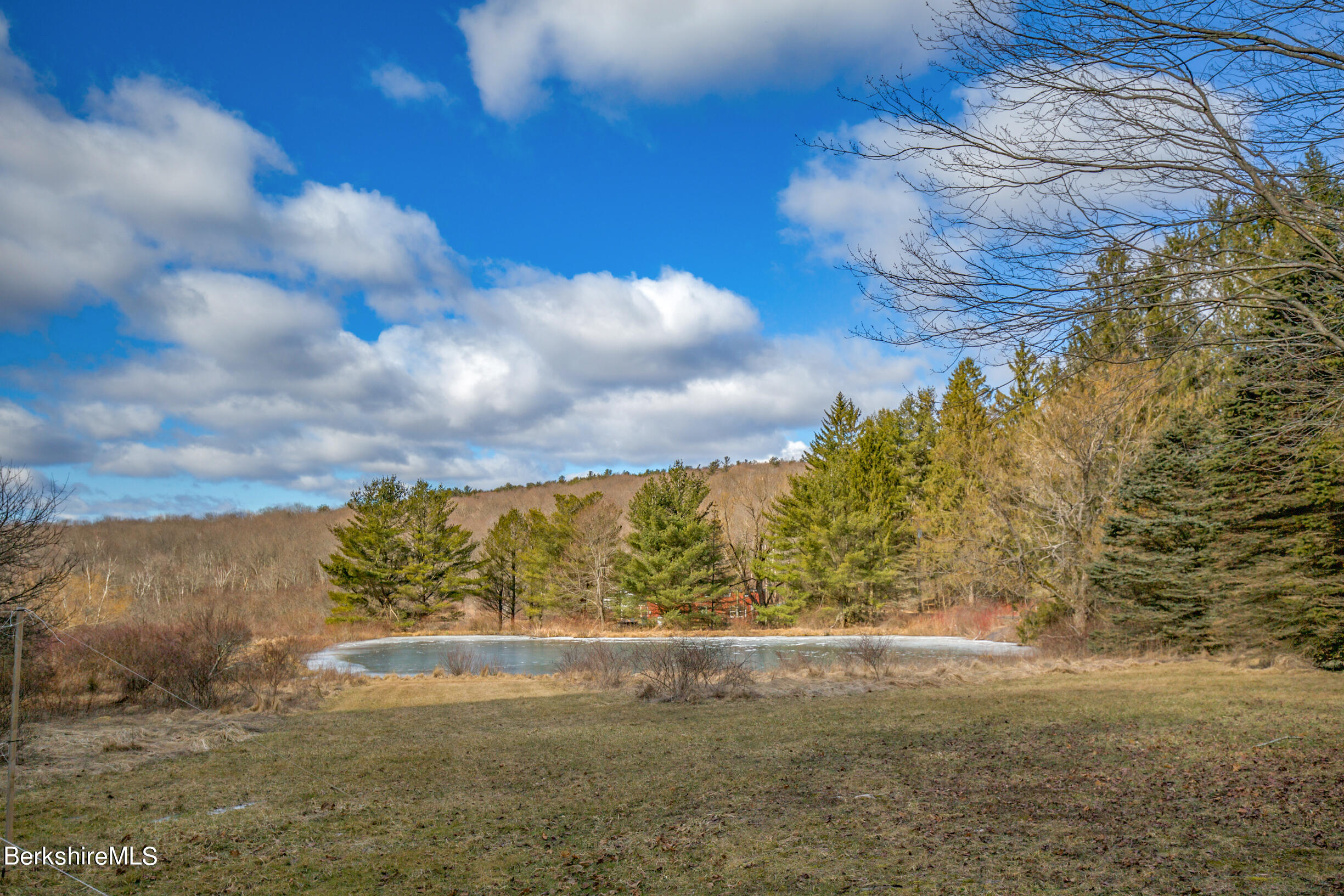 46 Middle Road Austerlitz, NY 12017 - Photo 8 of 39 Pond