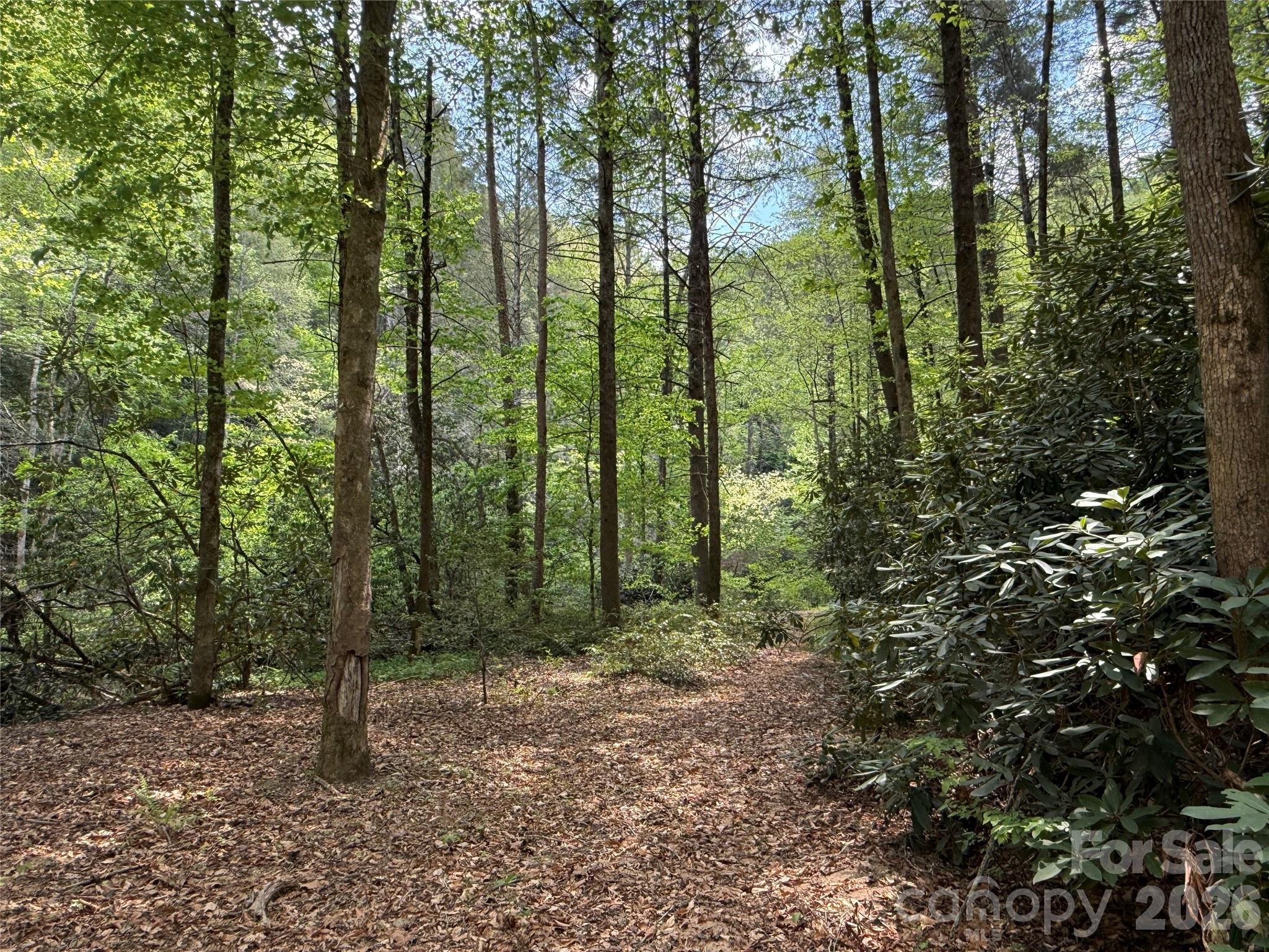 0 Kings Glen Road Old Fort, NC 28762 - Photo 15 of 47 a view of outdoor space and green space